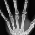 Apa Hubungan Tulang Wangi dan 1 Suro? Ini Makna, Kelebihan, dan Pantangannya