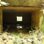 Dua Goa di Gunungkidul Diusulkan Jadi Cagar Budaya 2026, Kundha Kabudayan Targetkan 21 Objek Bersejarah