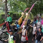 Kirab Manten Tebu Madukismo 2026: Ritual Sakral Penanda Harapan Manis Musim Giling