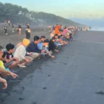 Tarif Retribusi Turun, Pantai Goa Cemara Bantul Berbenah Total: Hadirkan Kafe Modern, Camping Ground, hingga Wisata ATV