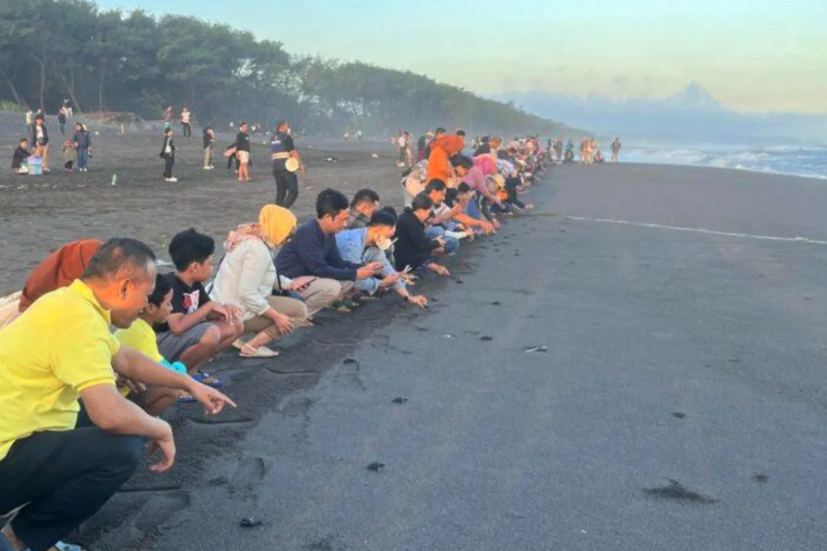 Tarif Retribusi Turun, Pantai Goa Cemara Bantul Berbenah Total: Hadirkan Kafe Modern, Camping Ground, hingga Wisata ATV